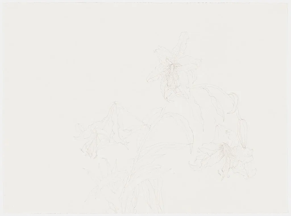 Untitled, by Hannah Wilke, ink, 1978