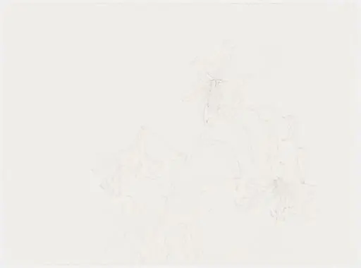 Untitled, by Hannah Wilke