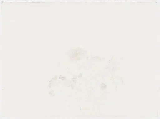 Untitled, by Hannah Wilke