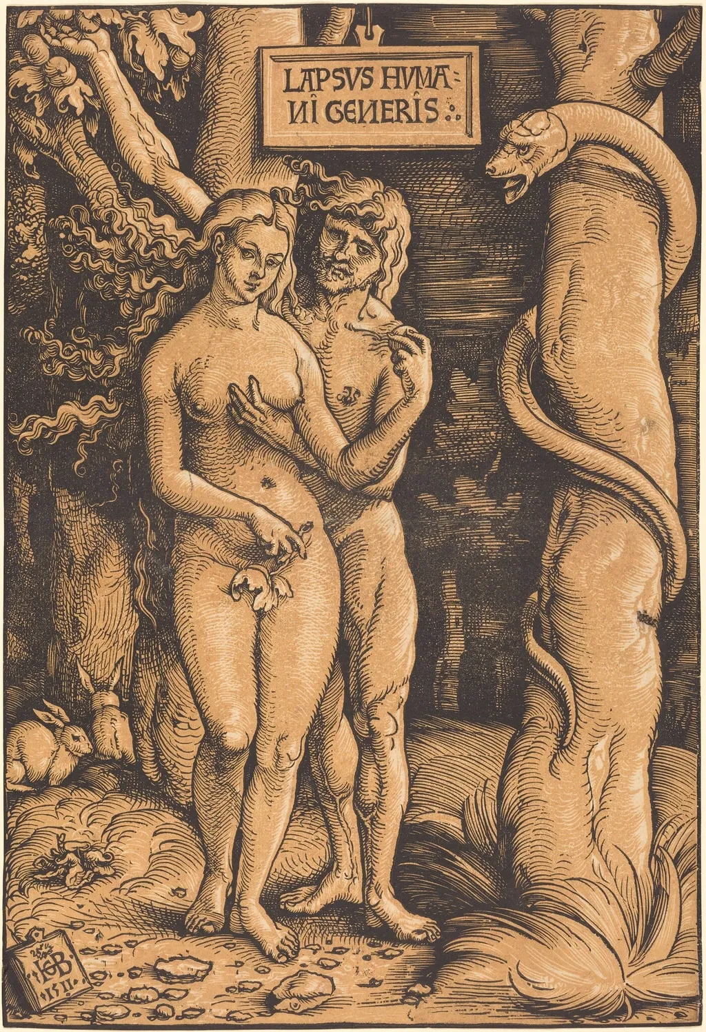 Adam and Eve, by Hans Baldung Grien, ink, 1511