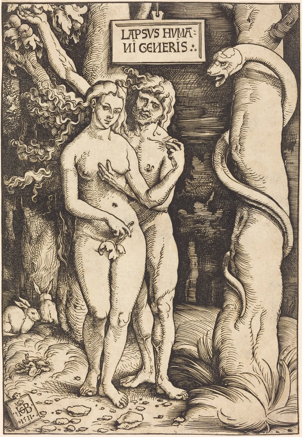 Adam and Eve, by Hans Baldung Grien, ink, 1511