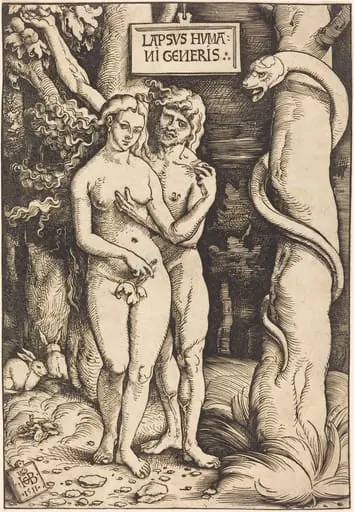 Adam and Eve, by Hans Baldung Grien