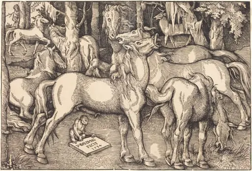 Group of Seven Horses, by Hans Baldung Grien
