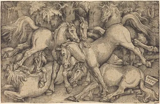 Group of Seven Horses in Woods, by Hans Baldung Grien