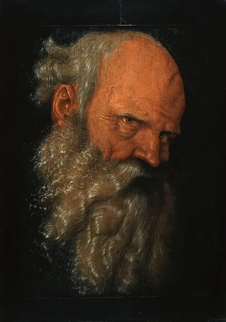 Head of a Bearded Old Man, by Hans Baldung Grien