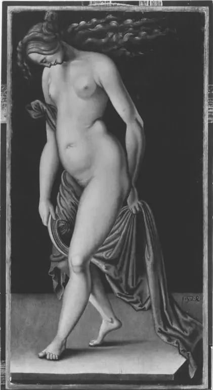 Venus + mirror, by Hans Baldung Grien