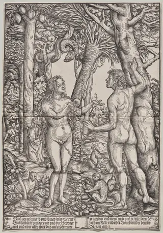 The Fall of Adam and Eve, by Hans Burgkmair I