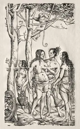 Hottentots with herd, by Hans Burgkmair the Elder