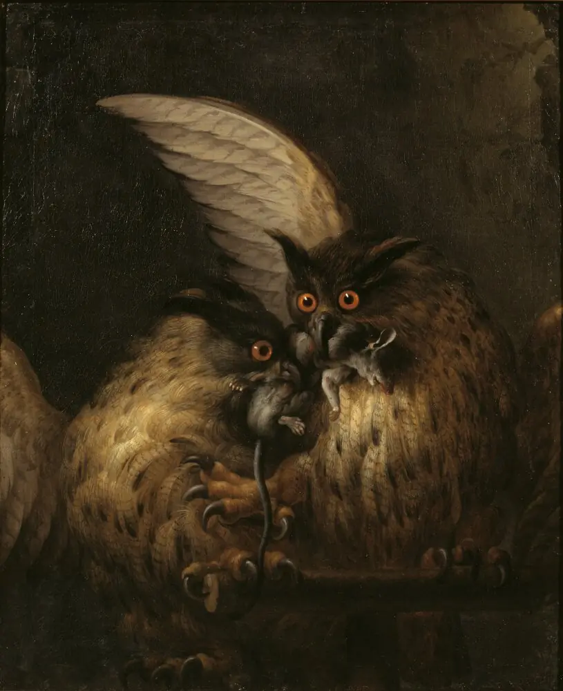 Two owls fighting over a rat, by Hans Georg Müller
