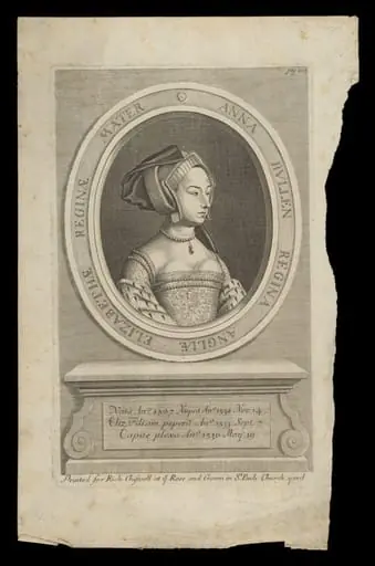 H Beard Print Collection, by Hans Holbein