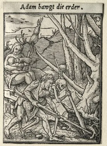 Dance of Death:  Adam Tilling the Ground, by Hans Holbein the Younger