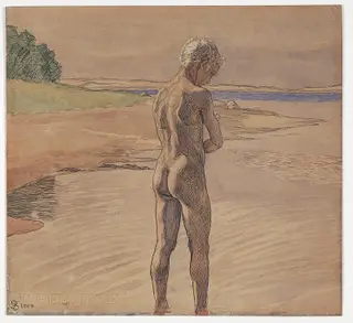Hans stående i vandet. Motiv fra Fyns Hoved