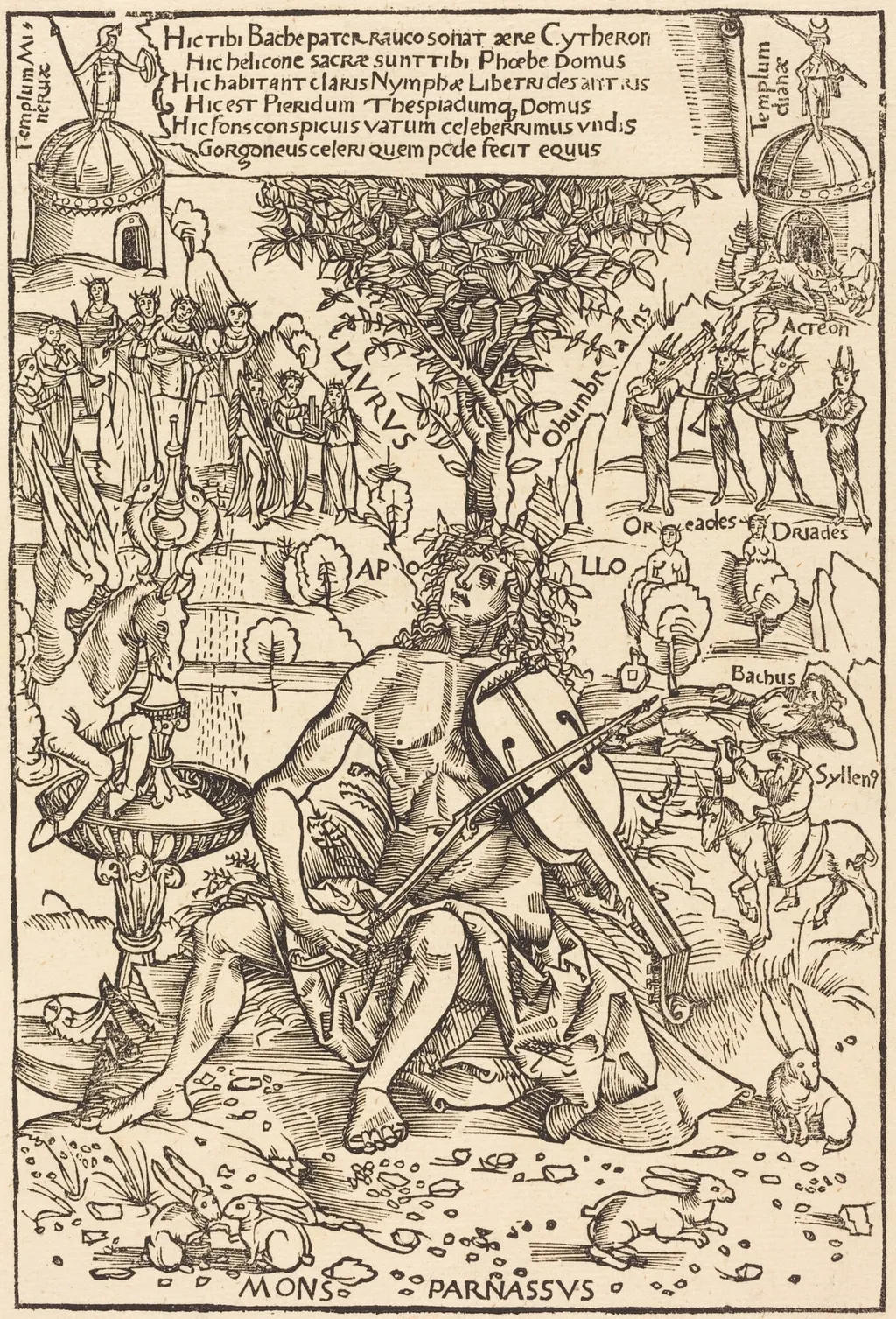 Apollo on Parnasus, by Hans Süss von Kulmbach, ink, 1502