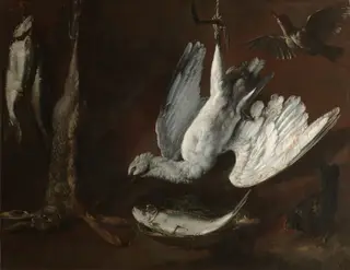 Hare, Spoonbill, and Fish