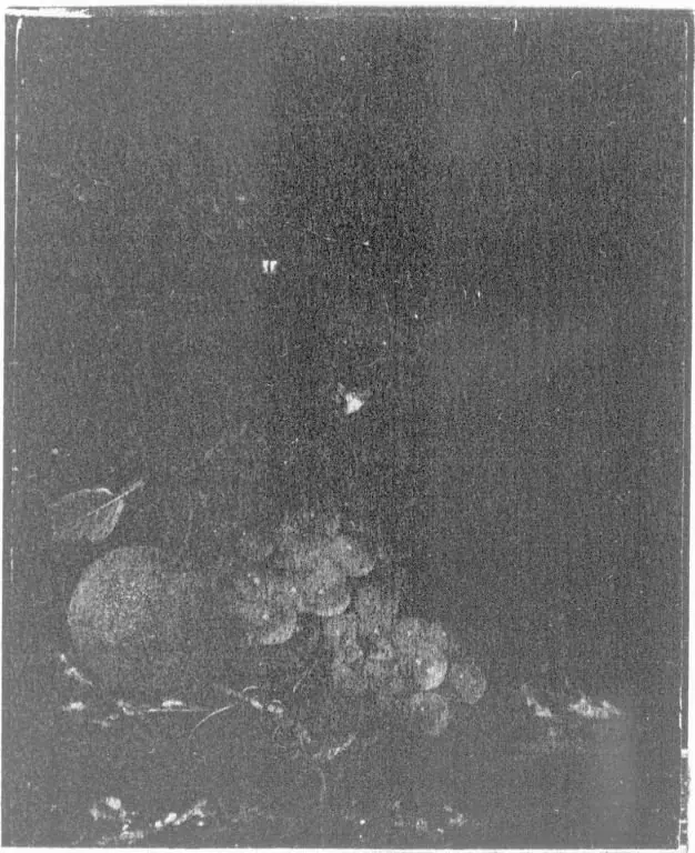 Stillleben mit Früchten, by Harmen Loeding