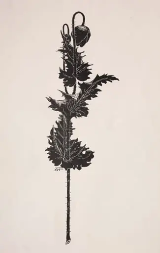 Flower Study, by Harry Fenn