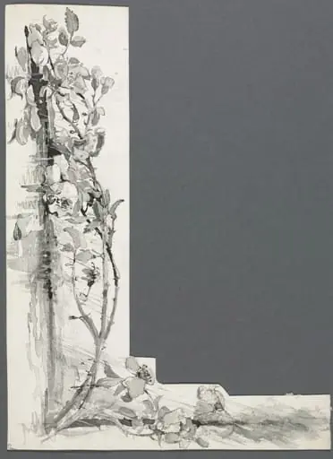 Flower Study, by Harry Fenn