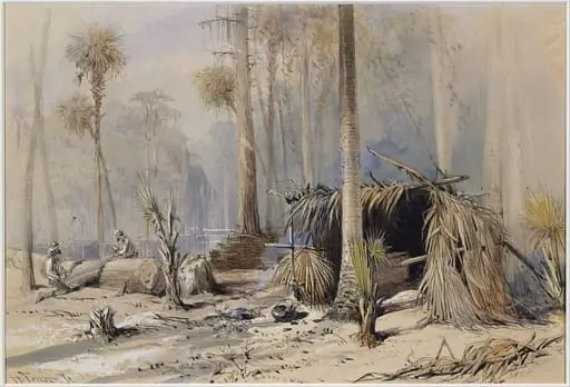 The Cypress-Shingle Yard, Ocklawaha River, Florida, by Harry Fenn