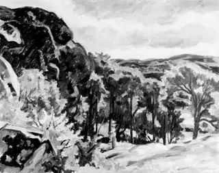 Harvest Landscape