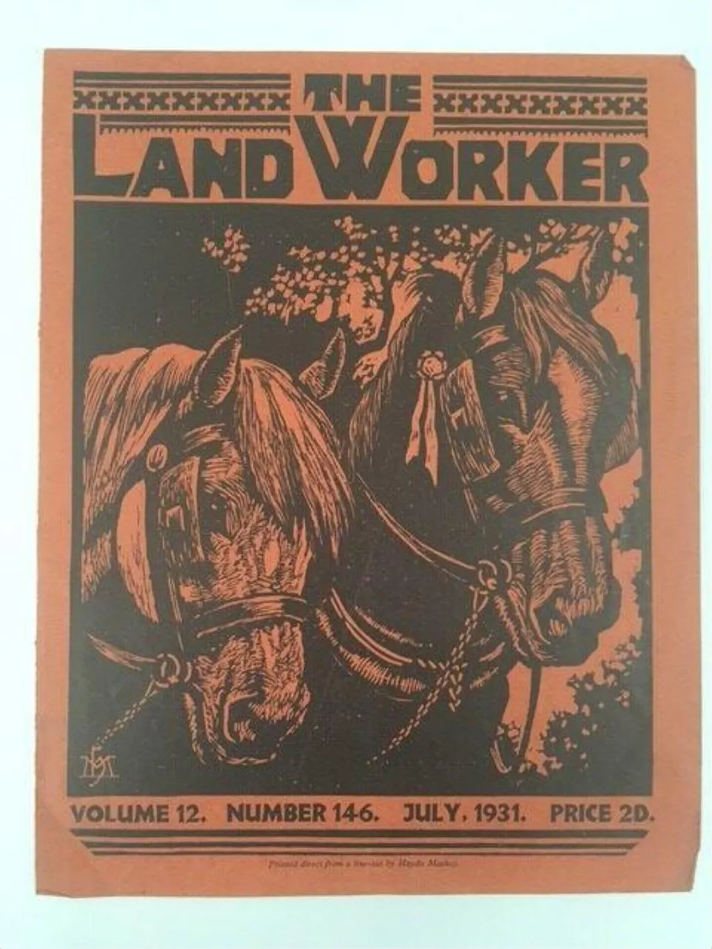 The Land Worker, by Haydn Mackey