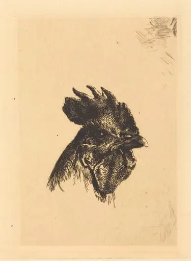 Head of a Cock