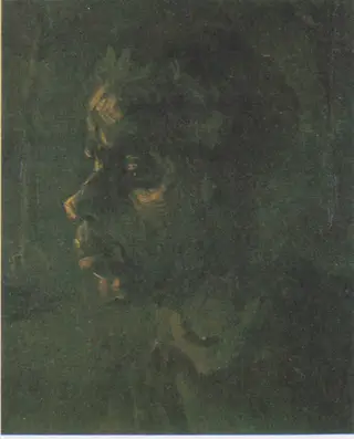Head of a Peasant Woman