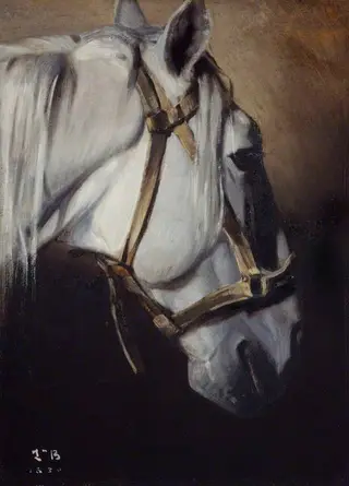 Head of a white horse, by Léon Bonnat