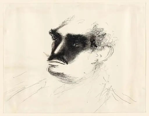 Untitled, by Hedda Sterne