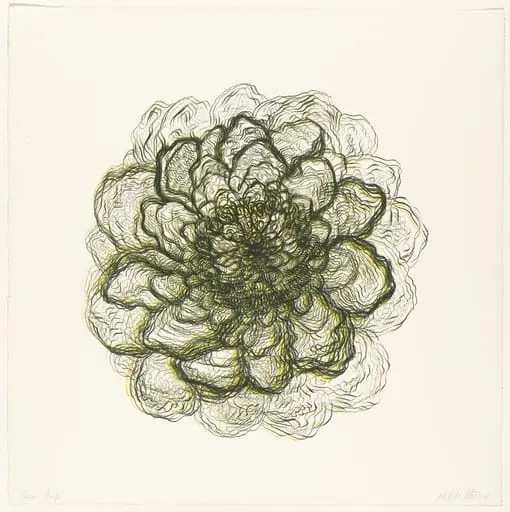 Untitled, by Hedda Sterne