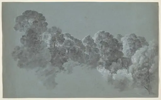 Forest Treetops Struck by Light, by Heinrich Rieter