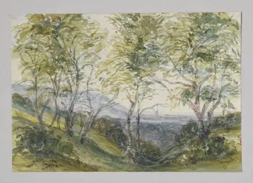 Untitled, by Helen Leech