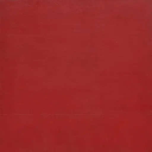 Untitled, by Hélio Oiticica