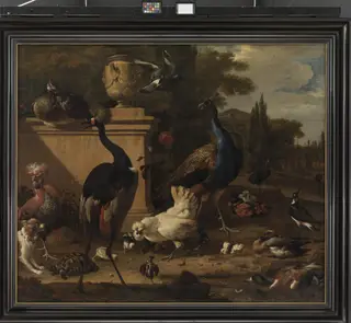 Hen Run at a Manor