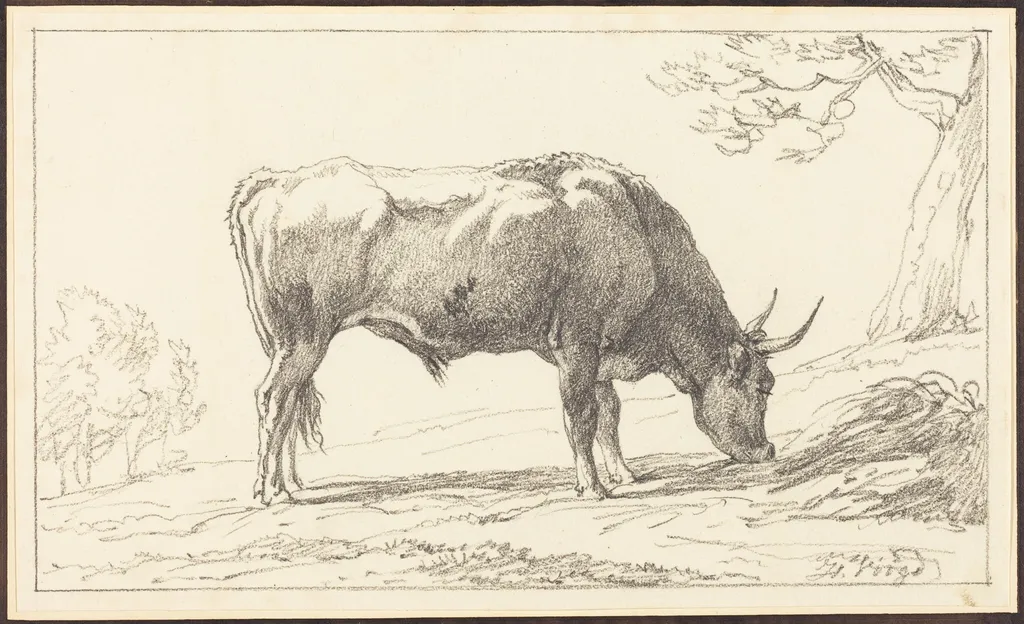 A Young Bull Grazing, by Hendrik Voogd, chalk, 1804