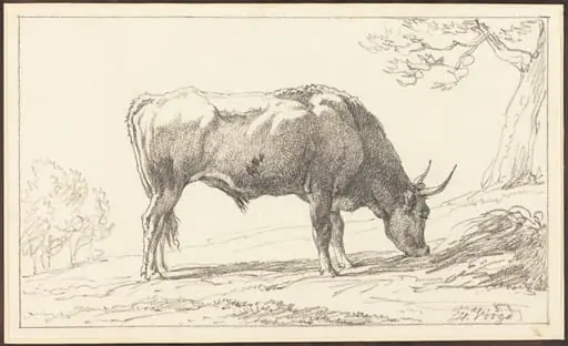 A Young Bull Grazing, by Hendrik Voogd