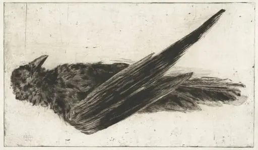 The Large Hanging Raven, by Henri-Charles Guérard