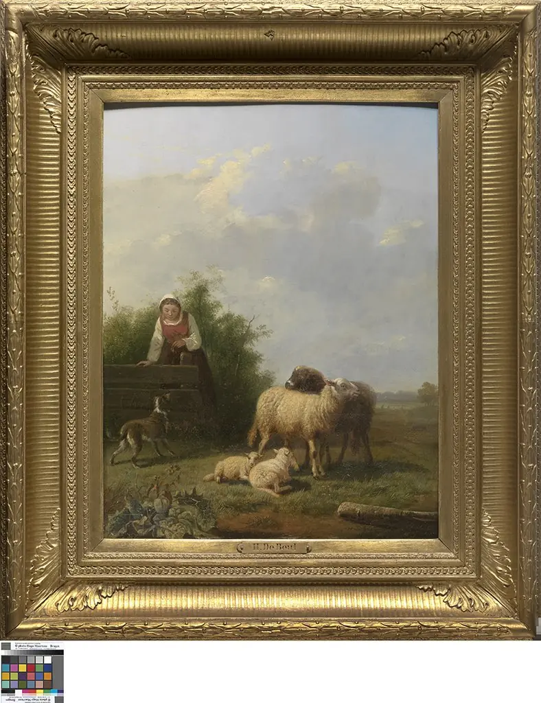 Landschap met schapen
