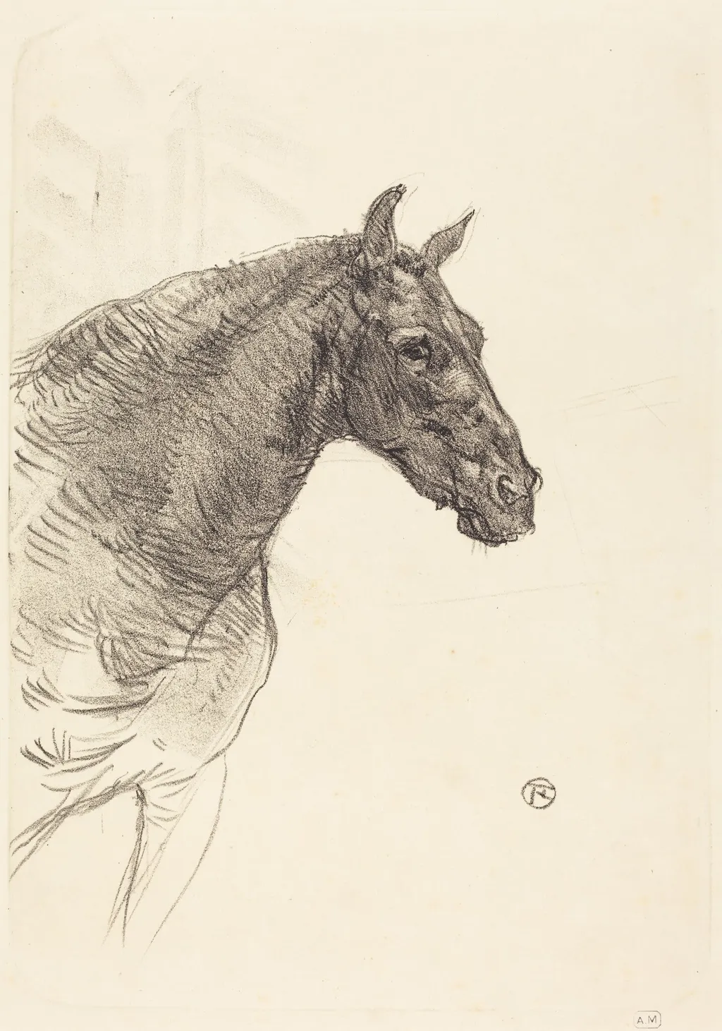 Old Horse (Le vieux cheval), by Henri de Toulouse-Lautrec, ink, 1897