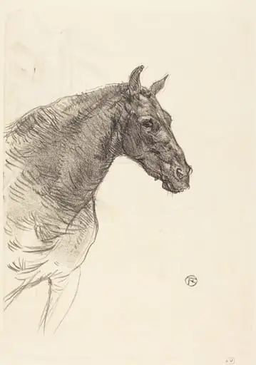 Old Horse (Le vieux cheval), by Henri de Toulouse-Lautrec