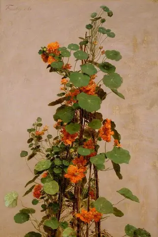 Nasturtiums, by Henri Fantin-Latour, 1890