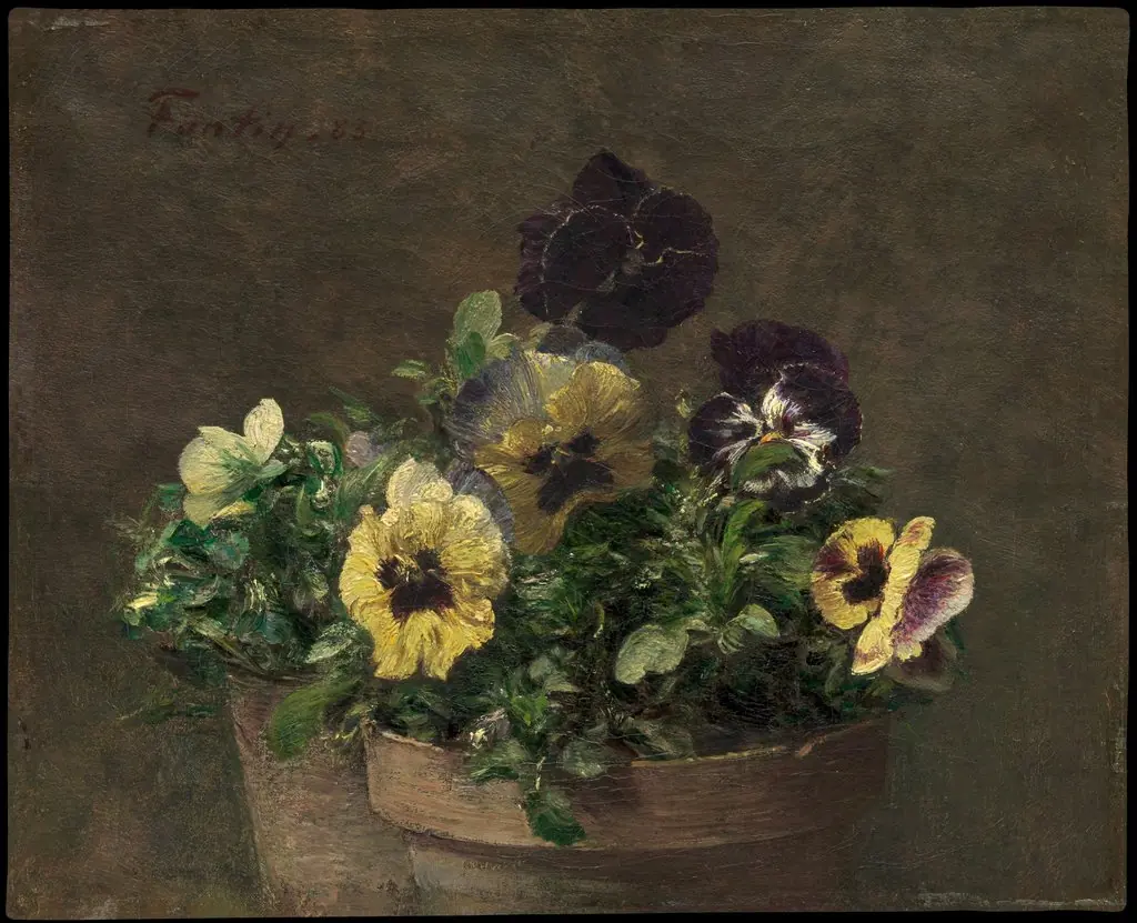 Potted Pansies, by Henri Fantin-Latour, 1892