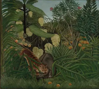 Fight Between a Tiger and a Buffalo