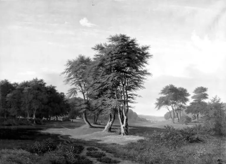 Skovparti. Motivet taget fra Dyrehaven, by Henrich Christian From