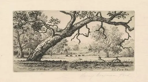 California Landscape, by Henry Chapman Ford