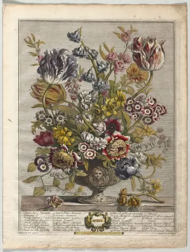 Twelve Months of Flowers: April, by Henry Fletcher