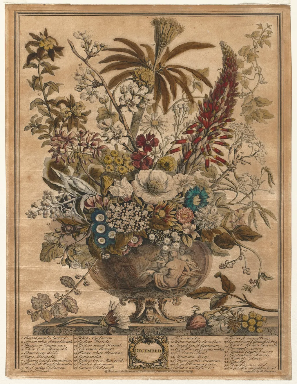 Twelve Months of Flowers: December, by Henry Fletcher, 1730