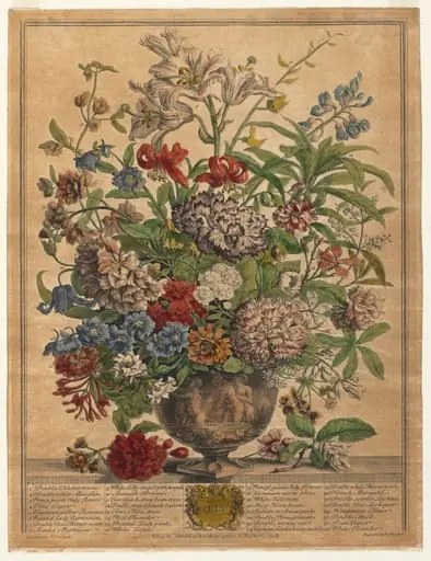 Twelve Months of Flowers: July, by Henry Fletcher