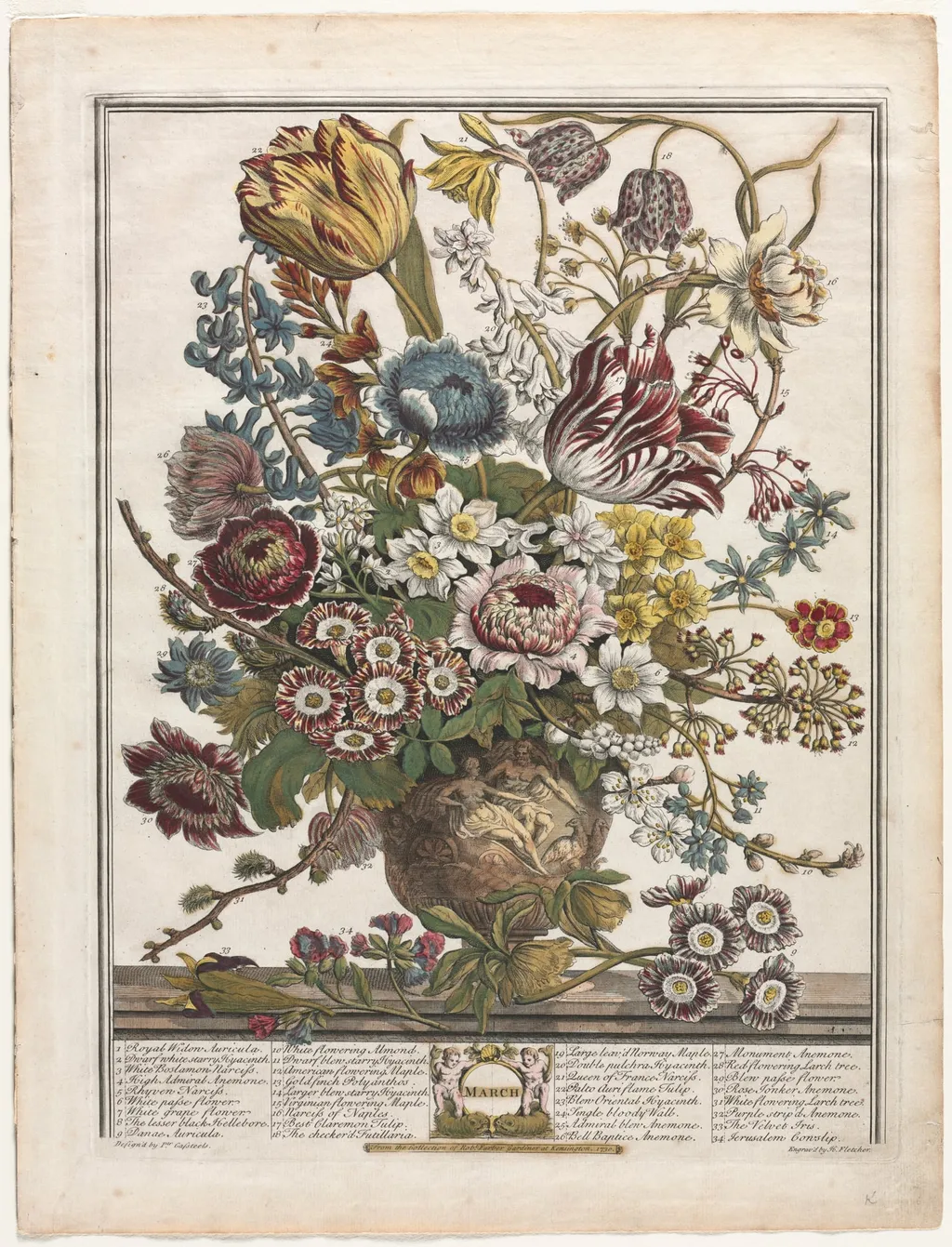 Twelve Months of Flowers: March, by Henry Fletcher, 1730