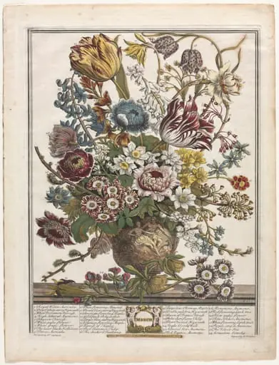 Twelve Months of Flowers: March, by Henry Fletcher