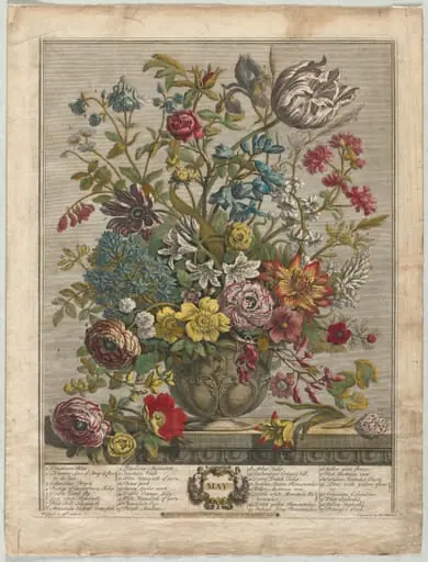 Twelve Months of Flowers: May, by Henry Fletcher